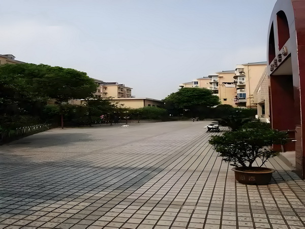 银杏镇之恋